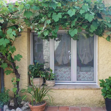 La Casina Di Mezzo - Tiny House *