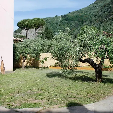 La Casina Di Mezzo - Tiny House * Camaiore