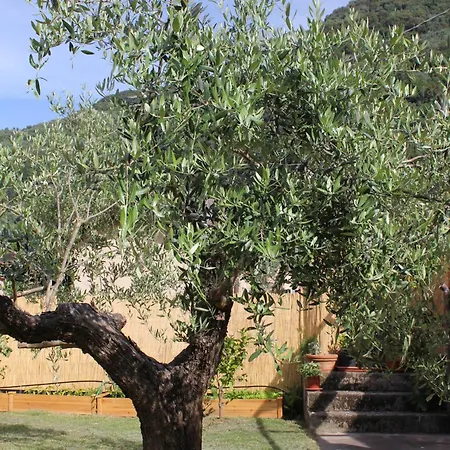 La Casina Di Mezzo - Tiny House Сasa de vacaciones Camaiore