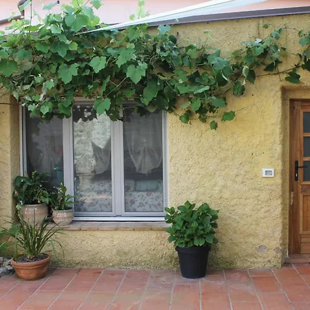 Semesterbostad La Casina Di Mezzo - Tiny House Camaiore