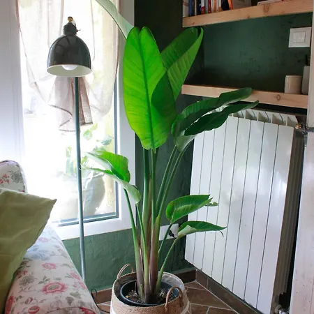 La Casina Di Mezzo - Tiny House * カマイオーレ